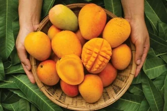 দিনে কয়টি আম খাওয়া যেতে পারে?